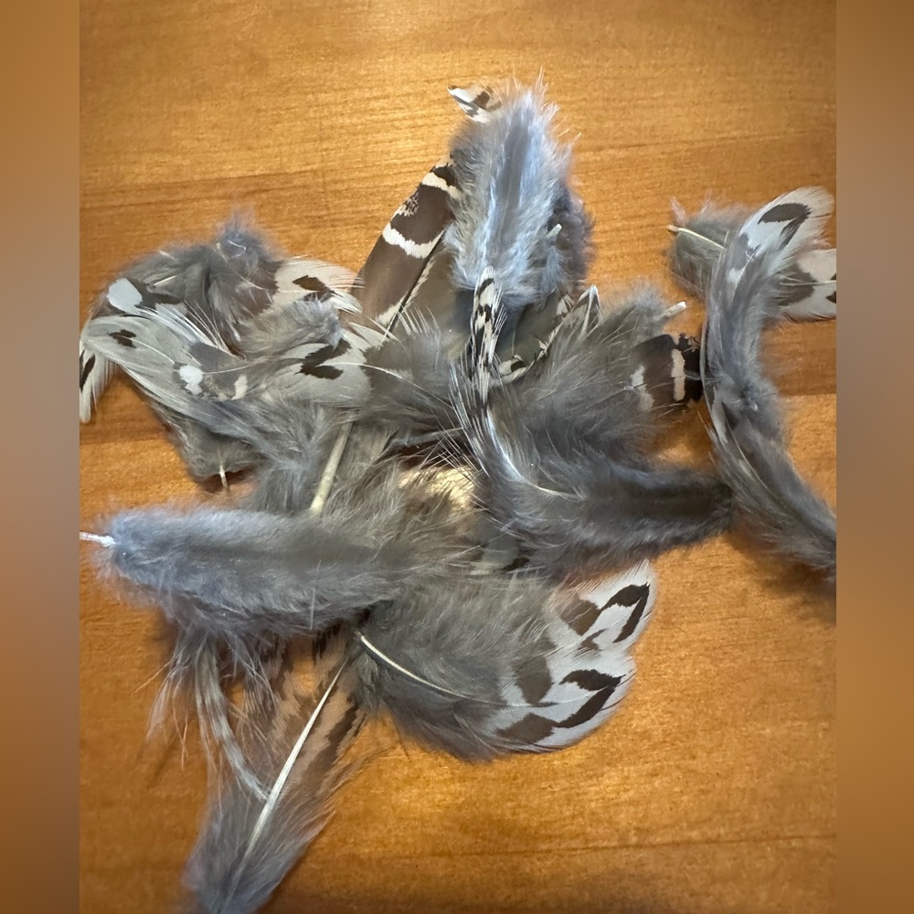 Crafting Feathers